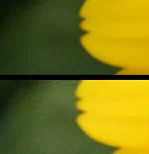 introduction-to-iso-for-photographers