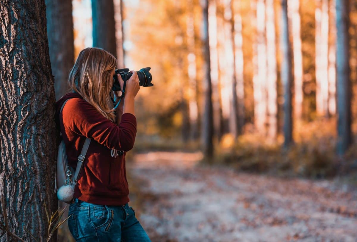 Tips To Transform Yourself From Amateur To Professional Photographer