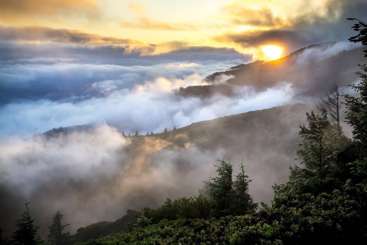 photography in mist