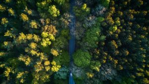 tips for drone photography